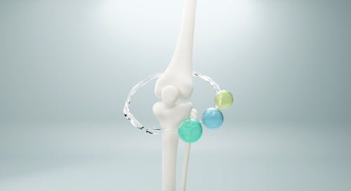 Type 2 Collagen for Joints: Does It Actually Work?